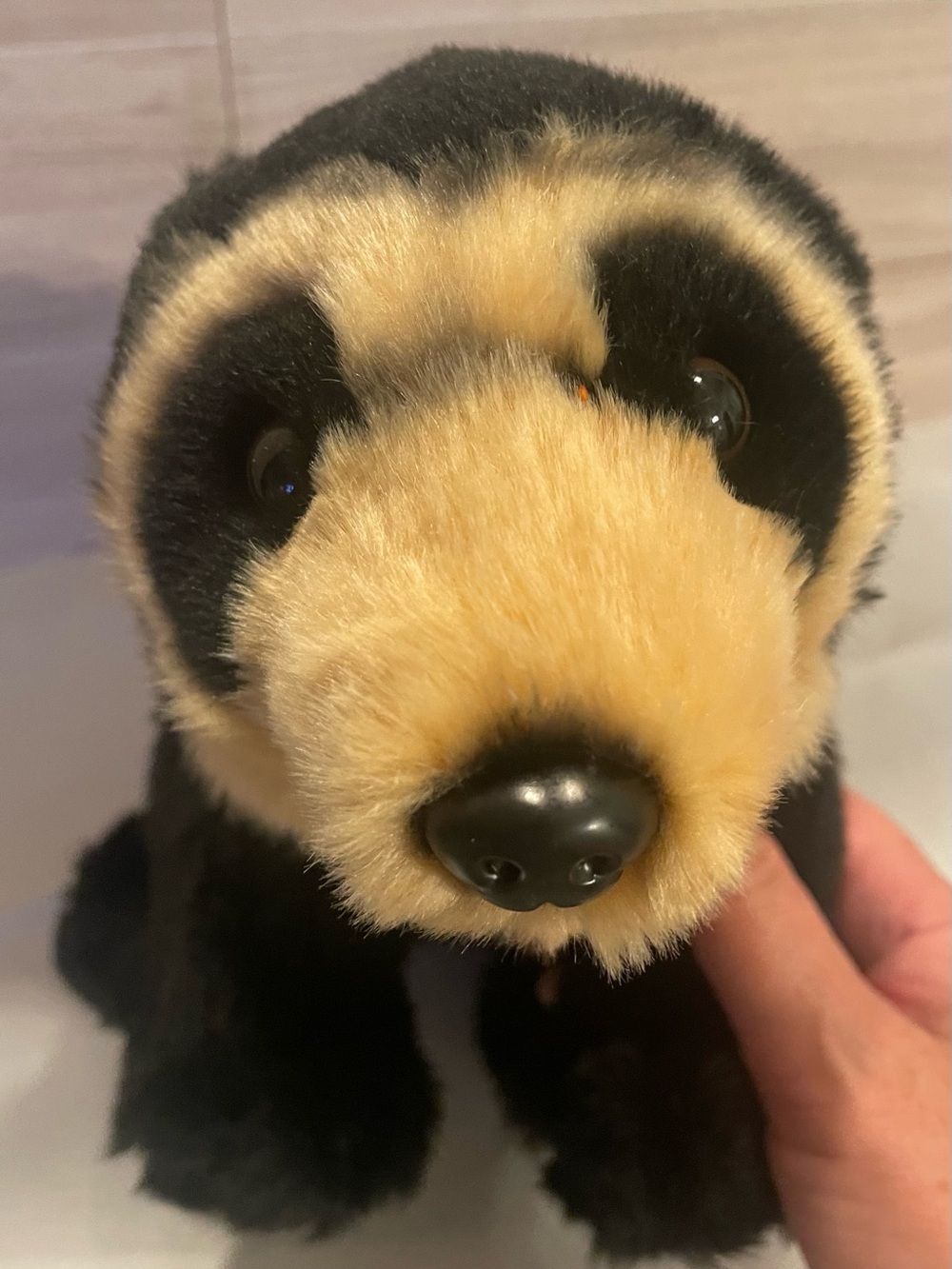 Wildlife Tree Sun Bear Plush Stuffed Animal 12” Realistic Black & Tan Bear 🐻